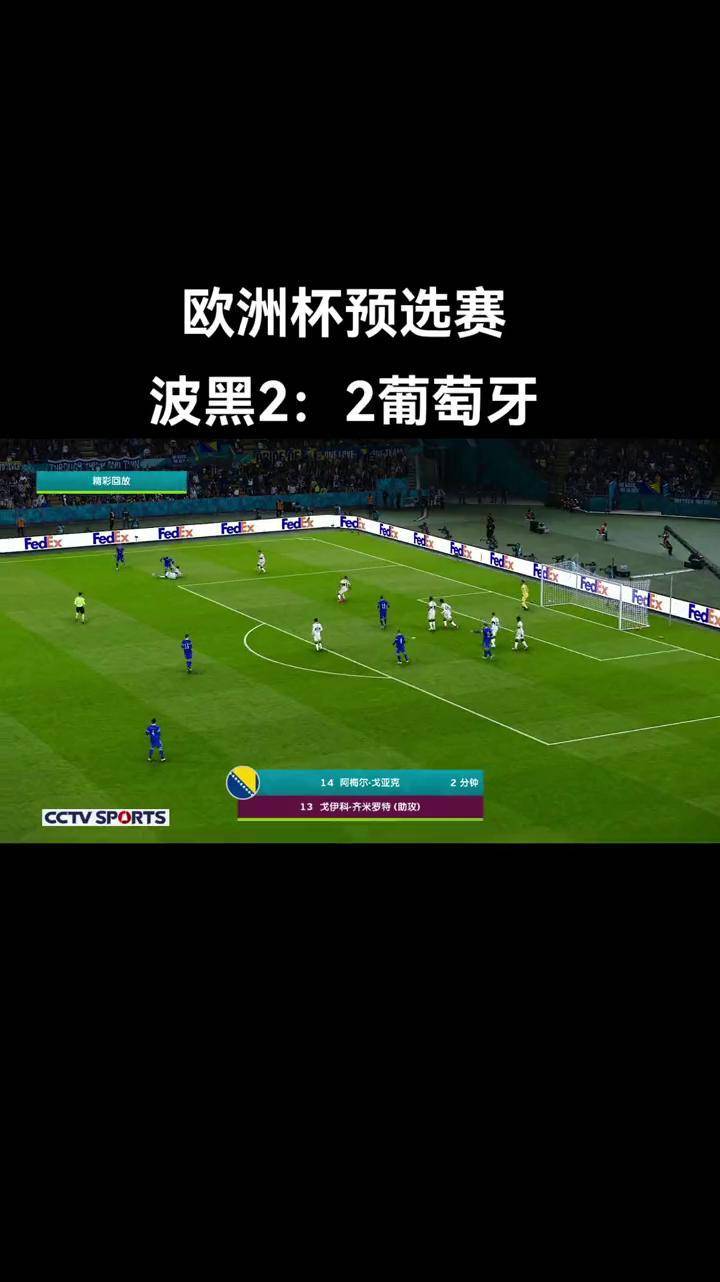 葡萄牙连胜两场，欧洲杯预选赛靠前